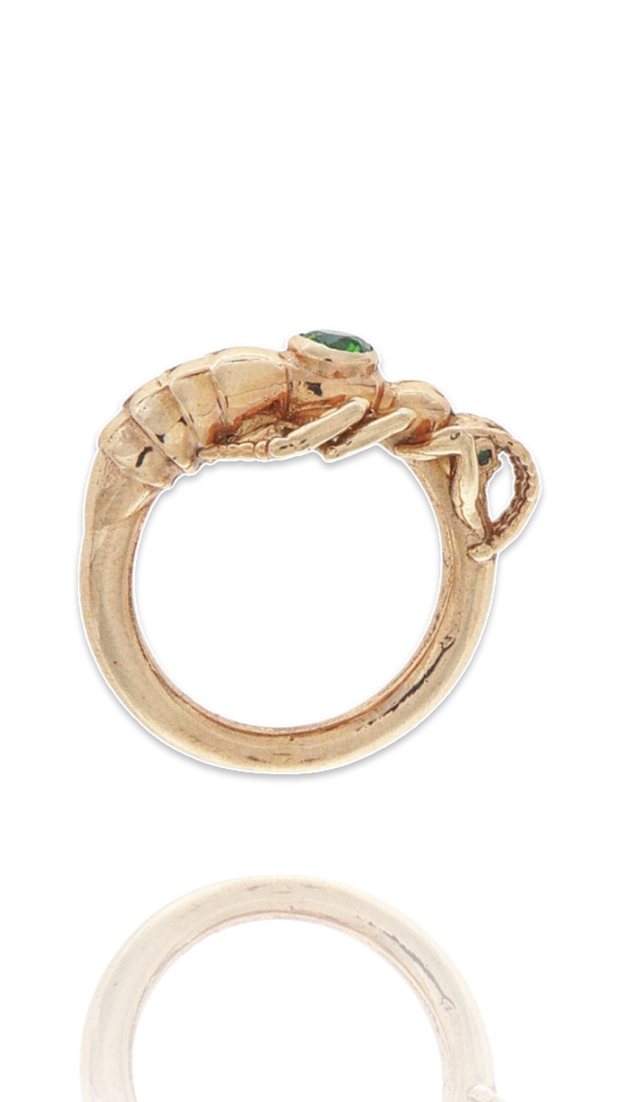 Sterling Silver African Rove beetle ring